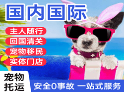 衡阳南岳空运地址国际宠物托运 【国
